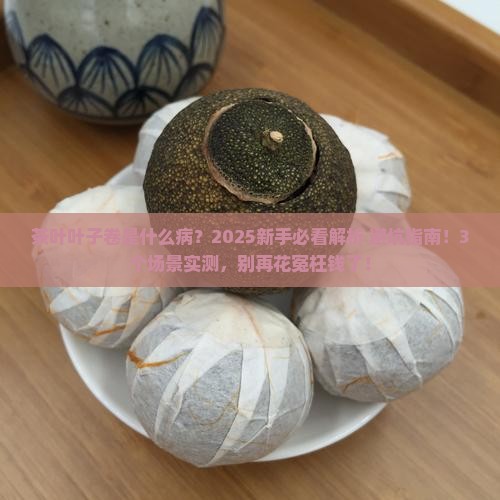 茶叶叶子卷是什么病