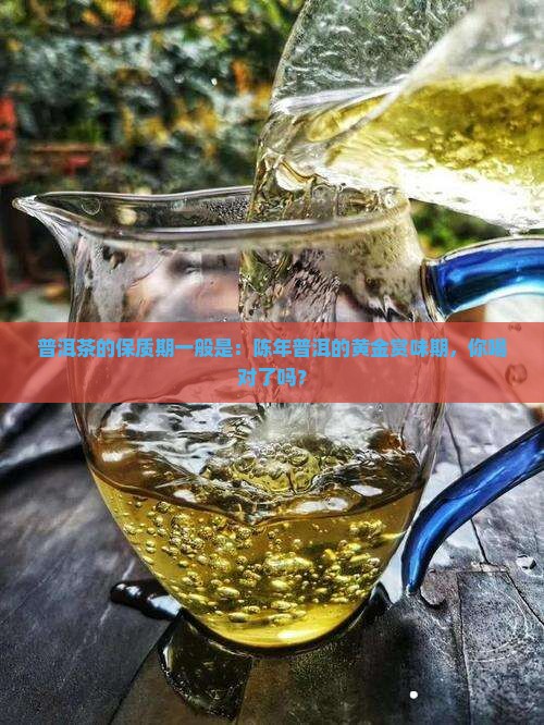 普洱茶的保质期一般是
