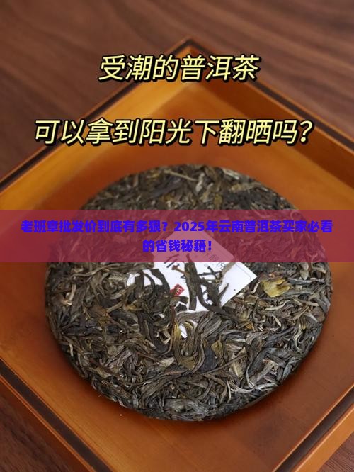 云南普洱茶老班章批发价格