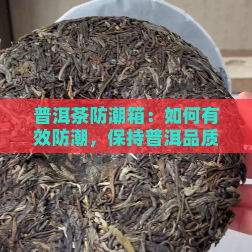 防潮箱存普洱茶