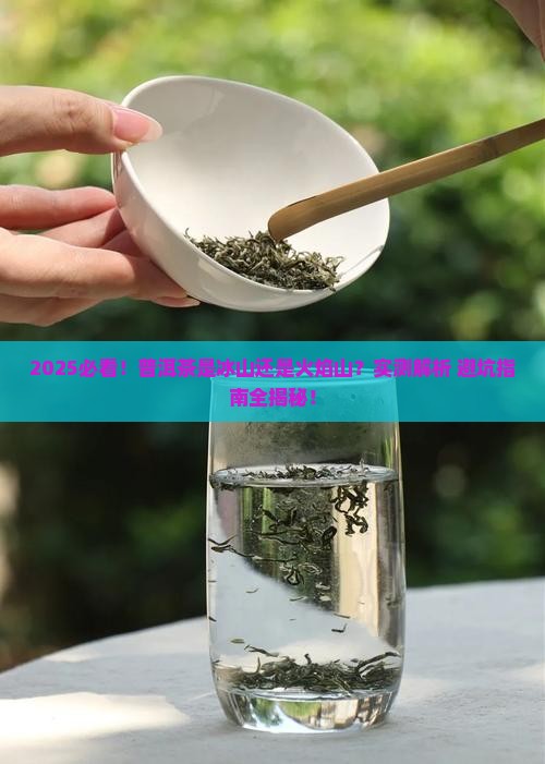 普洱茶是寒性还是热性茶