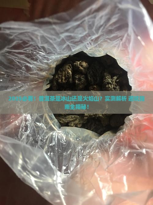 普洱茶是寒性还是热性茶