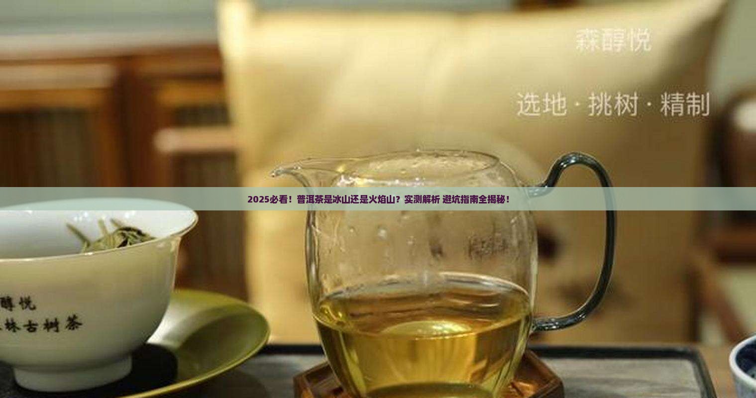 普洱茶是寒性还是热性茶