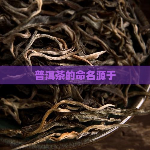 普洱茶的命名源于