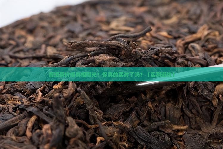 普洱茶不同价位照片