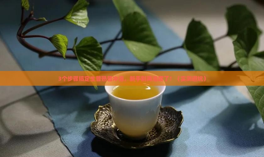 普洱茶分生普和熟普冲泡