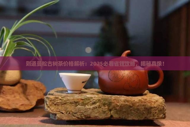 则道曼松古树茶价格