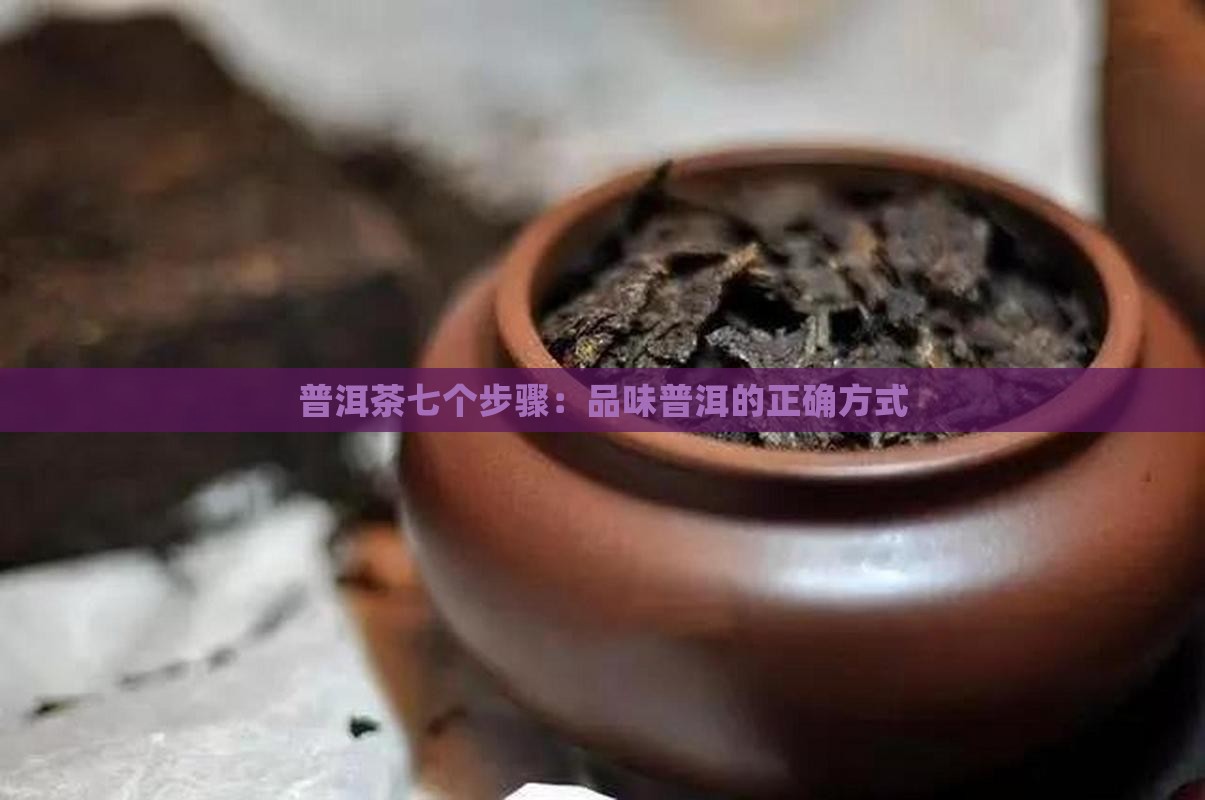 喝普洱茶的七个步骤