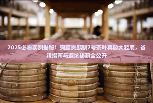狗脑贡麒麟7号茶叶怎么样