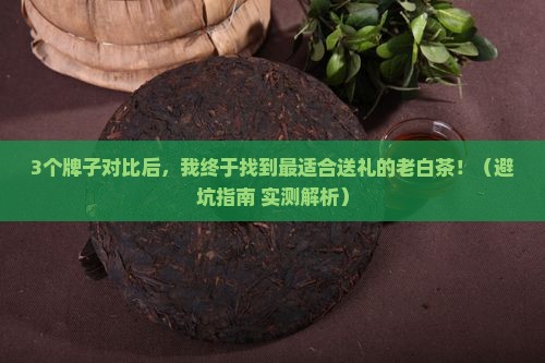 普洱茶老白茶哪个牌子好