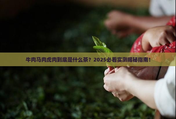 牛肉马肉虎肉是什么茶