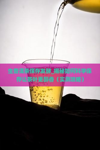 生普洱茶保存发酵