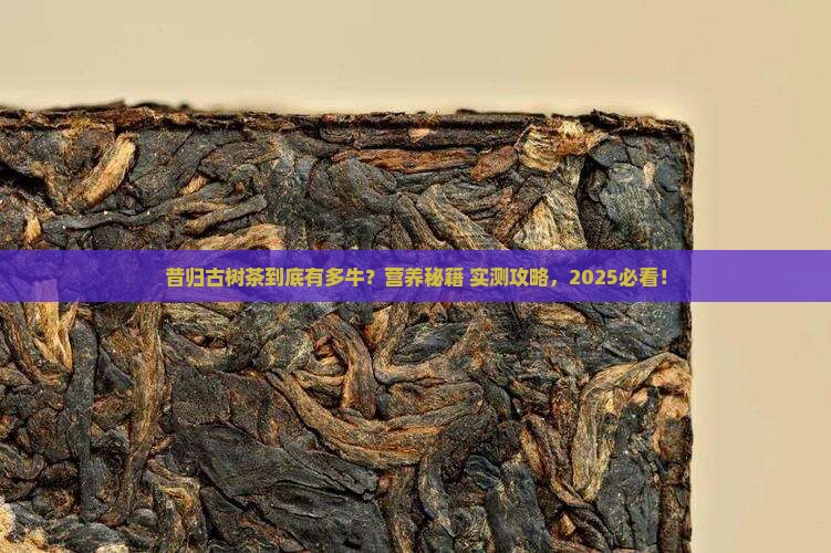 昔归古树茶的营养价值