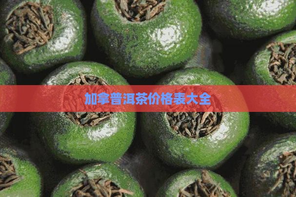 加拿普洱茶价格表