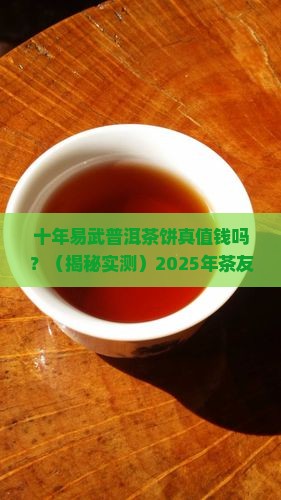 十年的易武普洱茶饼多少钱