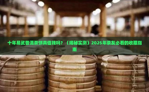 十年的易武普洱茶饼多少钱