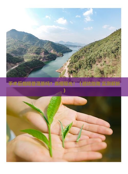 手术后可以喝普洱茶吗