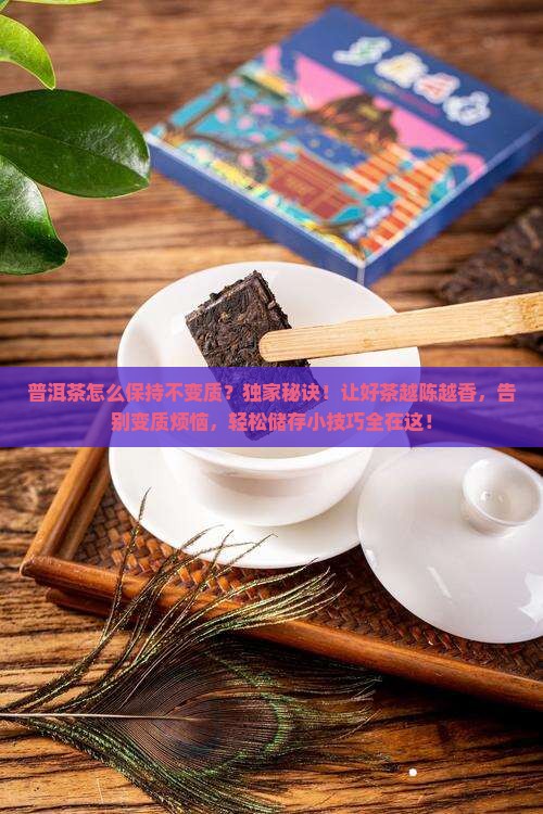普洱茶怎么保持不变质