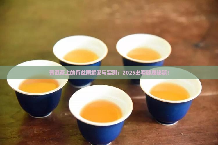 普洱茶上的有益菌