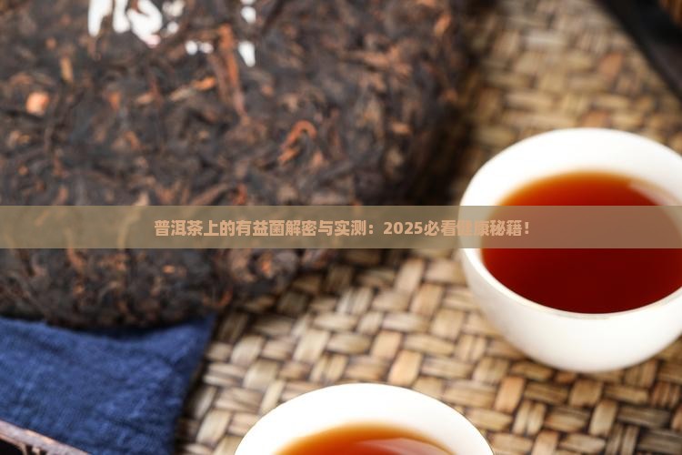 普洱茶上的有益菌