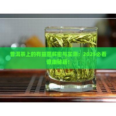 普洱茶上的有益菌