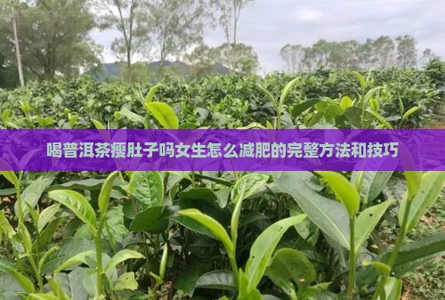 喝普洱茶瘦肚子吗女生怎么减肥