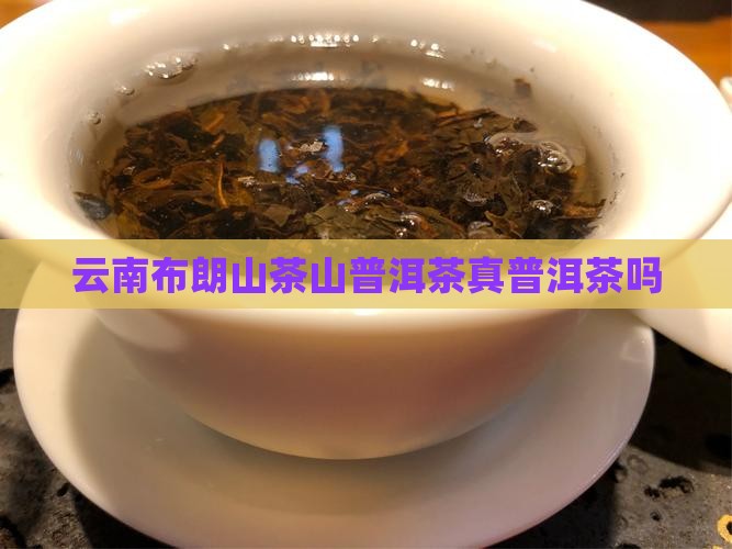 云南布朗山普洱茶真吗
