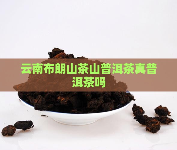 云南布朗山普洱茶真吗
