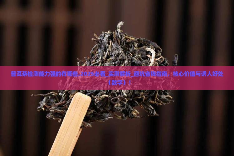普洱茶检测能力强的有哪些
