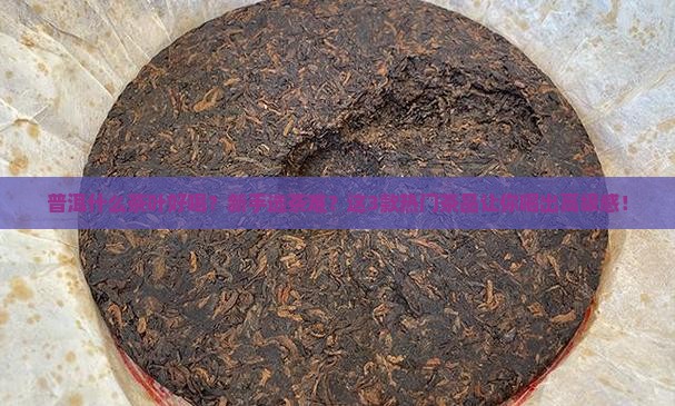普洱什么茶叶好喝
