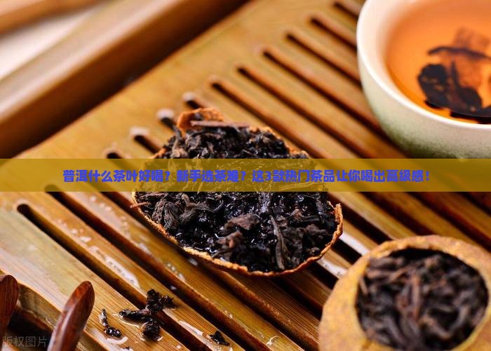普洱什么茶叶好喝