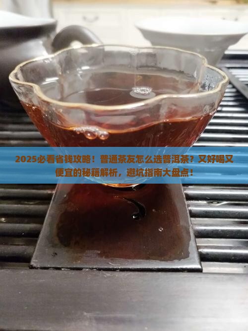 普洱茶选哪一品牌好喝又便宜