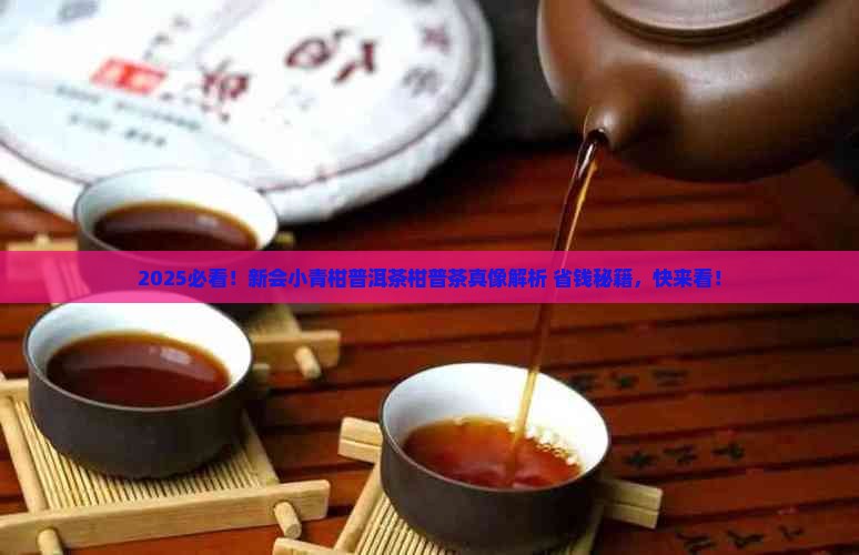 新会小青柑普洱茶柑普茶
