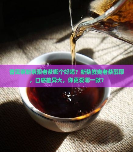 普洱茶新茶跟老茶哪个好喝