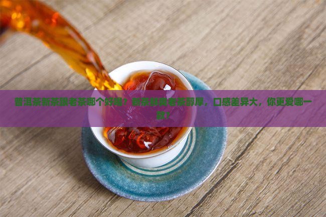 普洱茶新茶跟老茶哪个好喝