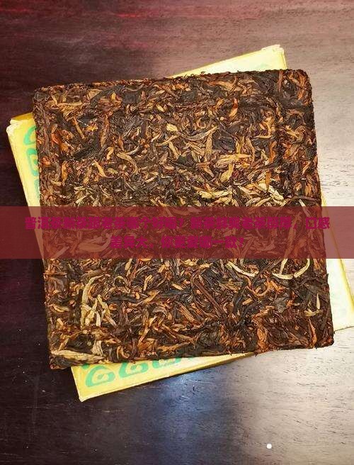 普洱茶新茶跟老茶哪个好喝