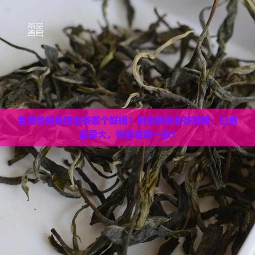 普洱茶新茶跟老茶哪个好喝