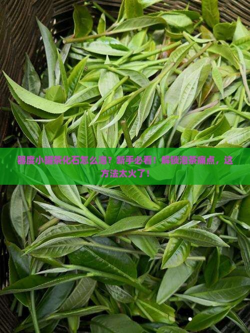 器度小罐茶化石怎么泡