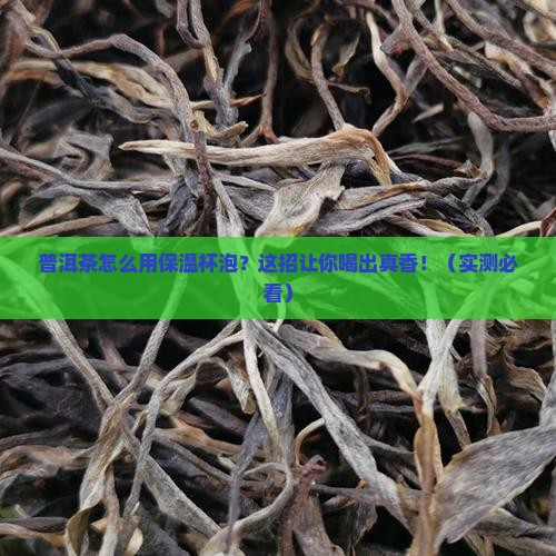 普洱茶怎样用保温杯泡
