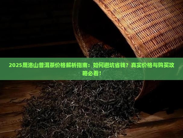 鹰洛山普洱茶价格