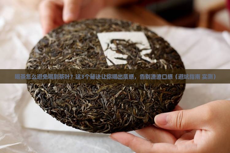 喝茶怎么避免喝到茶叶
