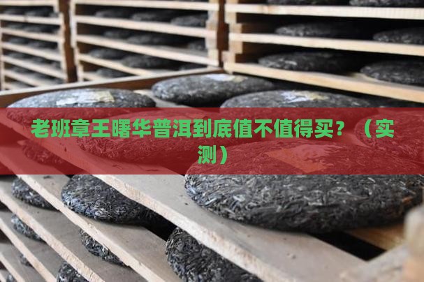 老班章王曙华普洱