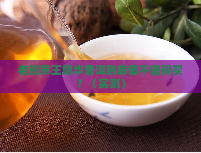 老班章王曙华普洱