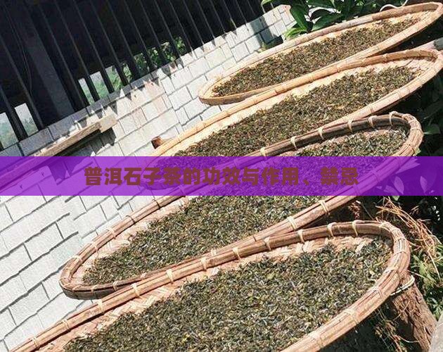 普洱石子茶的功效