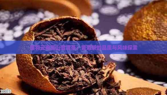 墨羽云南高山普洱茶如何