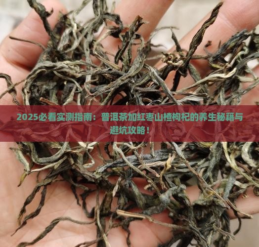 普洱茶加红枣山楂枸杞