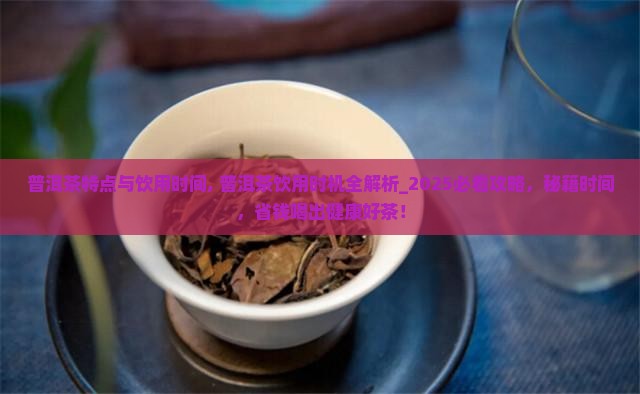 普洱茶特点与饮用时间