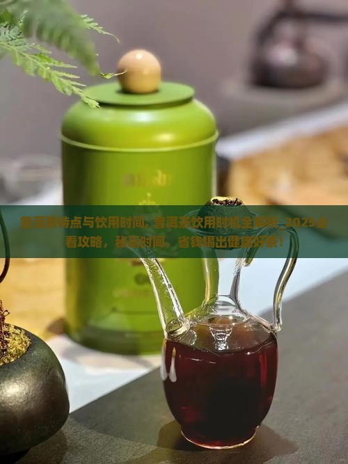 普洱茶特点与饮用时间