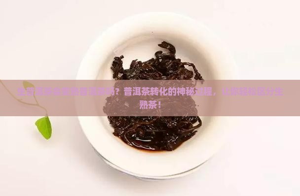 生普洱茶会变熟普洱茶吗