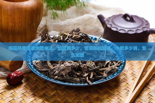 揭阳熟普洱茶加盟